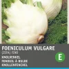 Intratuin Knollenfenchel (Foeniculum vulgare 'Zefa Fino') Samen