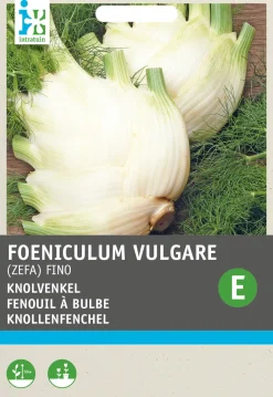 Intratuin Knollenfenchel (Foeniculum vulgare 'Zefa Fino') Samen