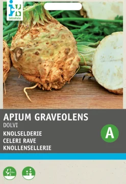Intratuin Knollensellerie (Apium graveolens 'Dolvi Prager Riese') Samen
