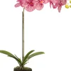 Intratuin Künstliche Orchidee (Phalaenopsis) fuchsia D 14 H 38 cm