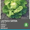 Intratuin Kopfsalat (Lactuca sativa 'Hilde') Samen