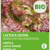 Intratuin Kopfsalat (Lactuca sativa 'Merveille des quatre saisons') (BIO) Samen