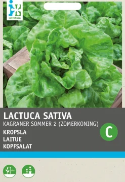 Intratuin Kopfsalat (Lactuca sativa 'Neckarriesen') Samen