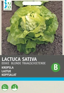 Intratuin Kopfsalat (Lactuca sativa 'Große Blonde Paresseuse') Samen