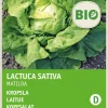 Intratuin Kopfsalat (Lactuca sativa 'Hilde') (BIO) Samen