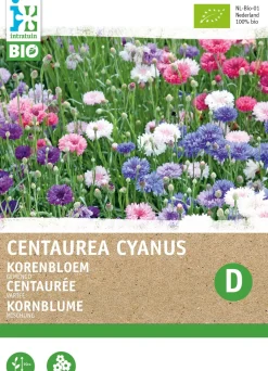 Intratuin Kornblume (Centaurea cyanus) (BIO) Blumensamen