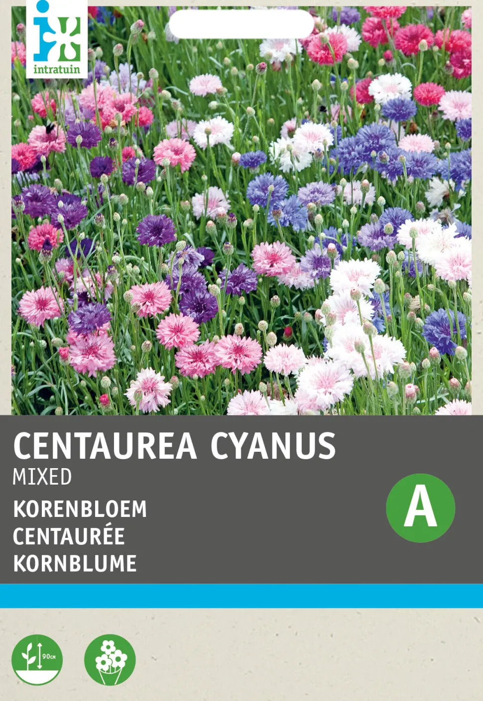 Intratuin Kornblume (Centaurea cyanus) Blumensamen