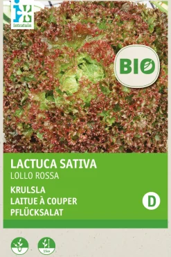 Intratuin Krauser Kopfsalat (Lactuca sativa 'Lollo Rosso') (BIO) Samen