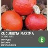 Intratuin Kürbis (Cucurbita maxima 'Uchiki Kuri') Samen