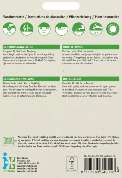 Intratuin Kürbis (Cucurbita maxima 'Uchiki Kuri') Samen