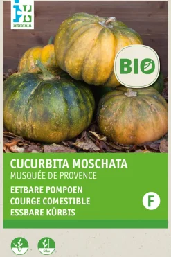 Intratuin Kürbis essbar (Cucurbita moschata 'Musquee de Procence') (BIO) Samen