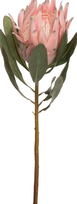 Intratuin Kunstblume Protea rosa 63 cm