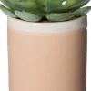 Intratuin Kunstpflanze Echiverie D 6 cm H 8 cm