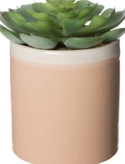 Intratuin Kunstpflanze Echiverie D 6 cm H 8 cm