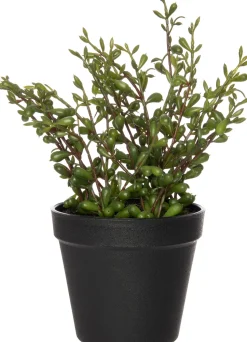 Intratuin Kunstpflanze Erbsenpflanze D 15 cm H 25 cm