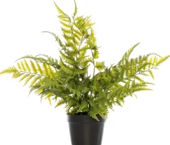 Intratuin Kunstpflanze Farn D 14 cm H 56 cm