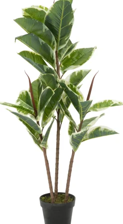 Intratuin Kunstpflanze Ficus 3 Stämme H 110 cm