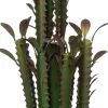 Intratuin Kunstpflanze Kaktus (Euphorbia ingens) braun D 10 cm H 36 cm