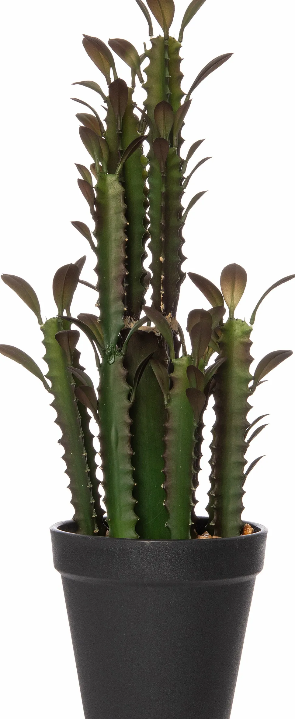 Intratuin Kunstpflanze Kaktus (Euphorbia ingens) braun D 10 cm H 36 cm