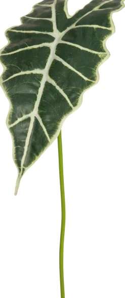 Intratuin Kunstzweig Pfeilblatt 92 cm