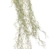 Intratuin Kunstzweig Tillandsie H 74 cm
