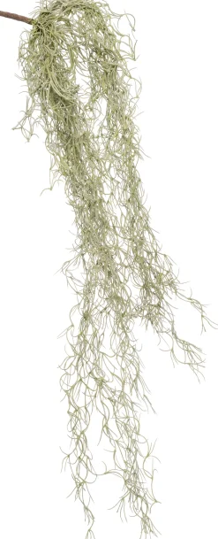Intratuin Kunstzweig Tillandsie H 74 cm