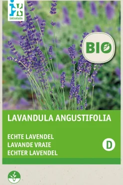 Intratuin Lavendel (Lavendula angustifolia) (BIO) Blumensamen