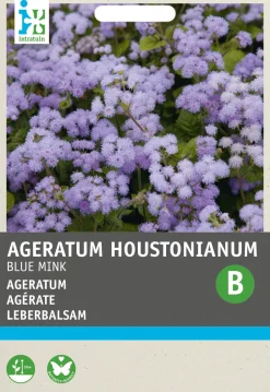 Intratuin Leberbalsam (Ageratum houstonianum 'Blue Mink') Blumensamen