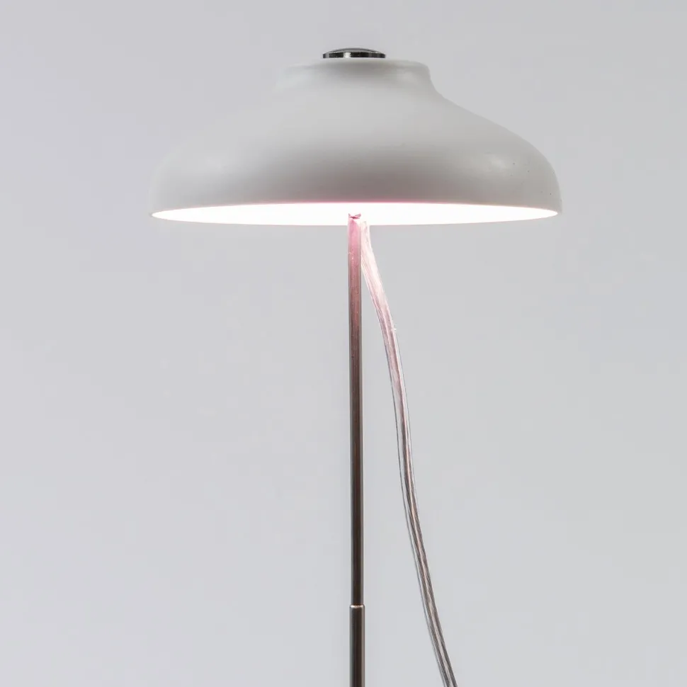 Intratuin LED Pflanzenlampe weiß D 11 H 22 cm