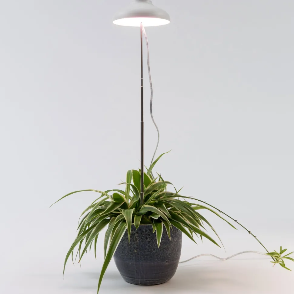 Intratuin LED Pflanzenlampe weiß D 11 H 22 cm