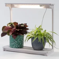 Intratuin LED Pflanzenlampe weiß 48 x 20 x 47 cm