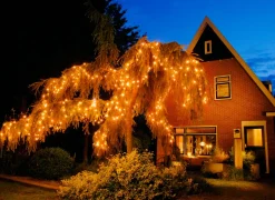 Intratuin Lichterkette Connect de Luxe mit 100 LEDs 10 m classic weiß