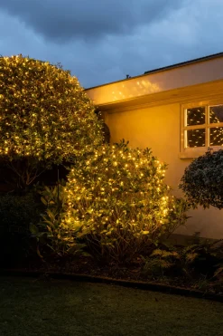 Intratuin Lichternetz 200 x 140 cm warmweiß