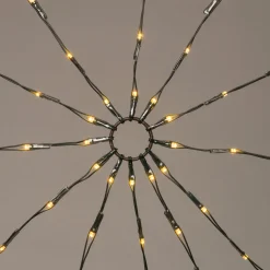 Intratuin Lichternetz für Buxus mit 120 LEDs warmweiß D 120 cm