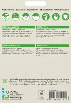 Intratuin Lupine (Lupines polyphyllus 'Russell's Hybrids') Blumensamen-Mischung