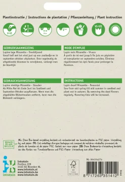 Intratuin Lupine niedrig (Lupinus polyphyllus 'Russell's Minarette') Blumensamen-Mischung