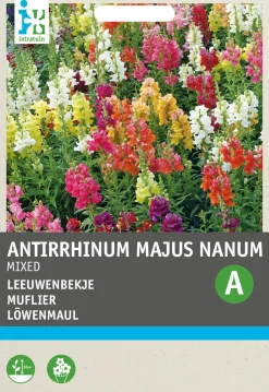 Intratuin Löwenmaul (Anthirrhinum majus 'Nanum') Blumensamen-Mischung
