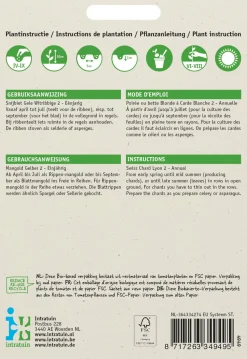 Intratuin Mangold (Beta vulgaris 'Gelber') Samen