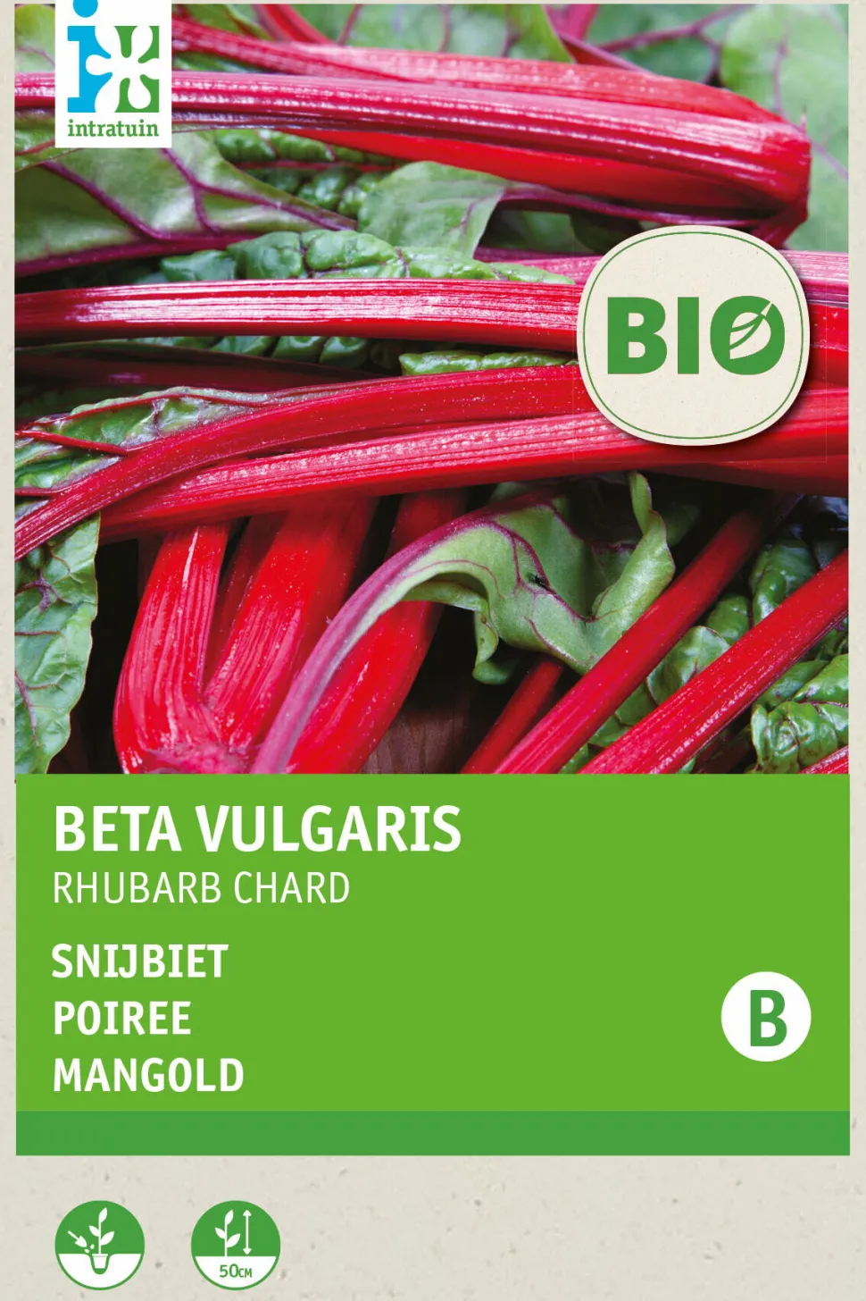 Intratuin Mangold (Beta vulgares 'Rhubard Chard') (BIO) Samen