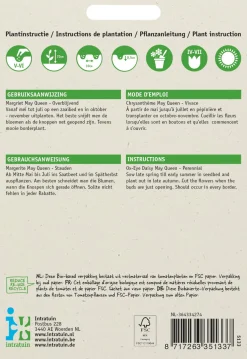 Intratuin Margerite (Chrystanthemum 'May Queen') Blumensamen