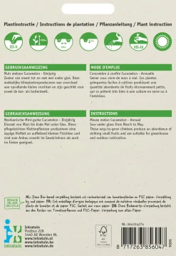 Intratuin Mexikanische Mini-Gurke (Cucamelon) Samen