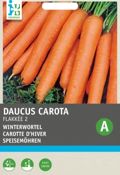 Intratuin Möhren (Daucus carota 'Rote Riesen') Samen