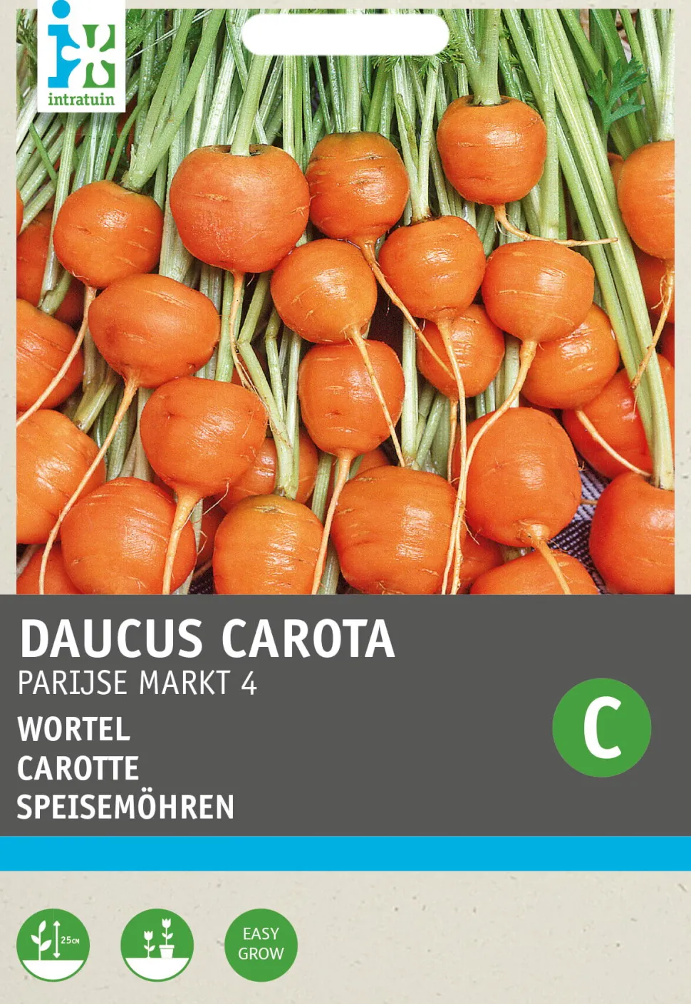 Intratuin Möhren rund (Daucus carota 'Pariser Markt') Samen