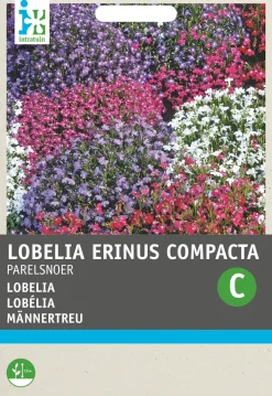 Intratuin Männertreu (Lobelia erinus 'Perlenkette') Blumensamen-Mischung