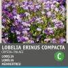 Intratuin Männertreu (Lobelia erinus 'Kristallpalast') Blumensamen