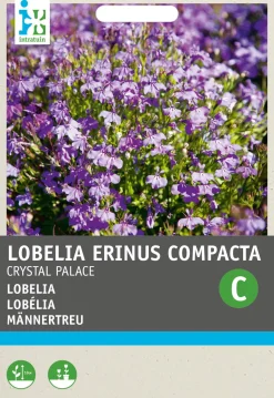 Intratuin Männertreu (Lobelia erinus 'Kristallpalast') Blumensamen