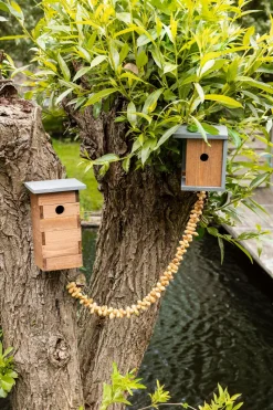 Intratuin Nistkasten für Sperling/Spatz 17 x 15 x 29,3 cm