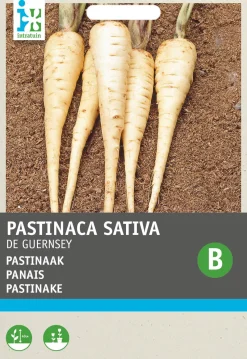 Intratuin Pastinake (Pastinaca sativa 'Von Guernsey') Samen
