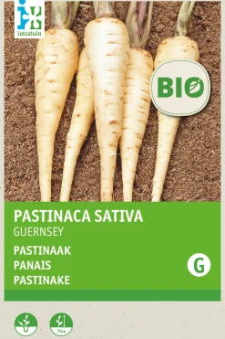 Intratuin Pastinake (Pastinaca sativa) (BIO) Samen