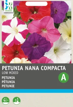 Intratuin Petunie (Petunia Hybrida) Blumensamen-Mischung